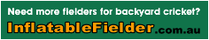 Inflatable Fielder